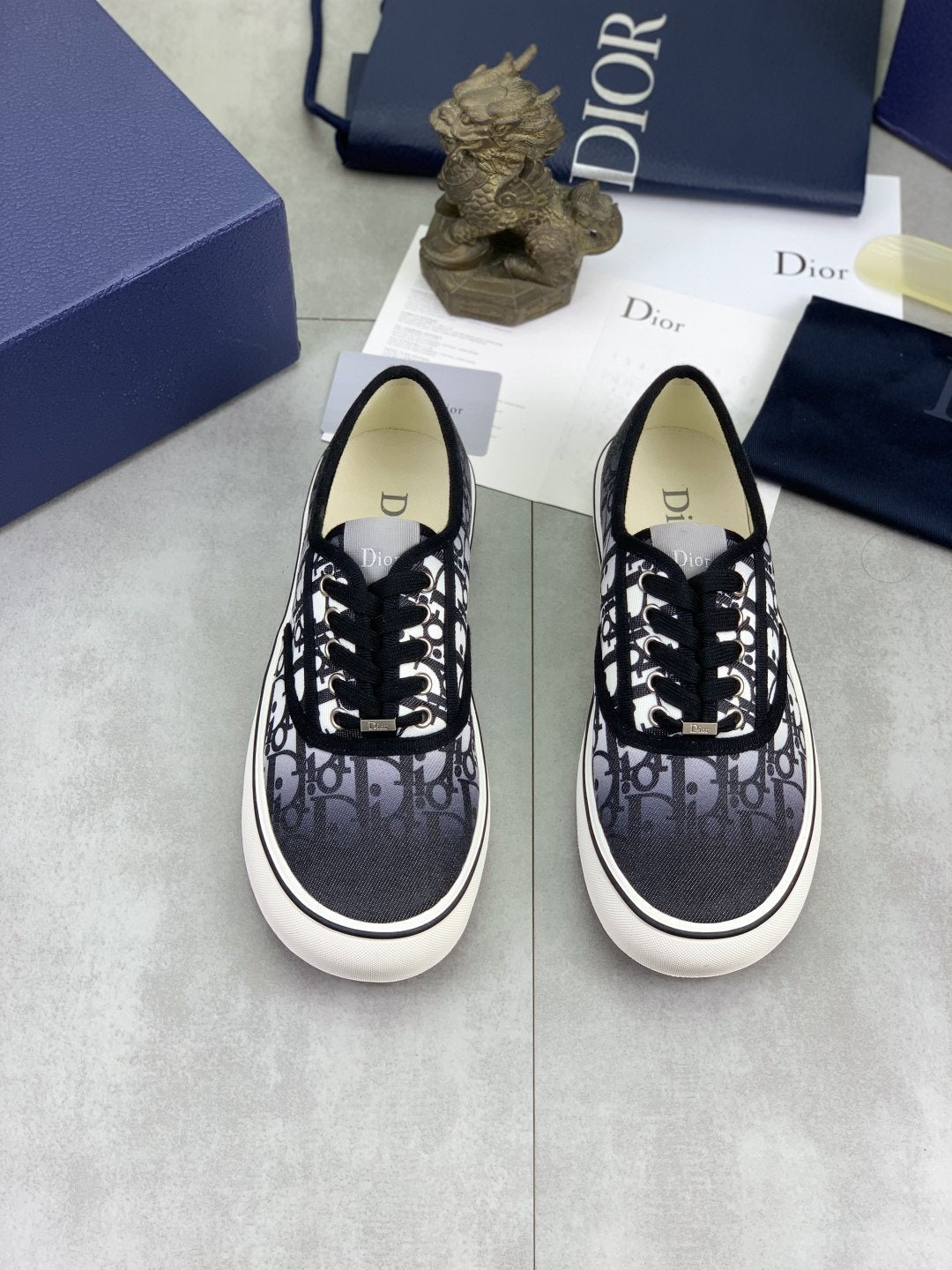 Dior Patterned Low-Top Canvas Sneakers