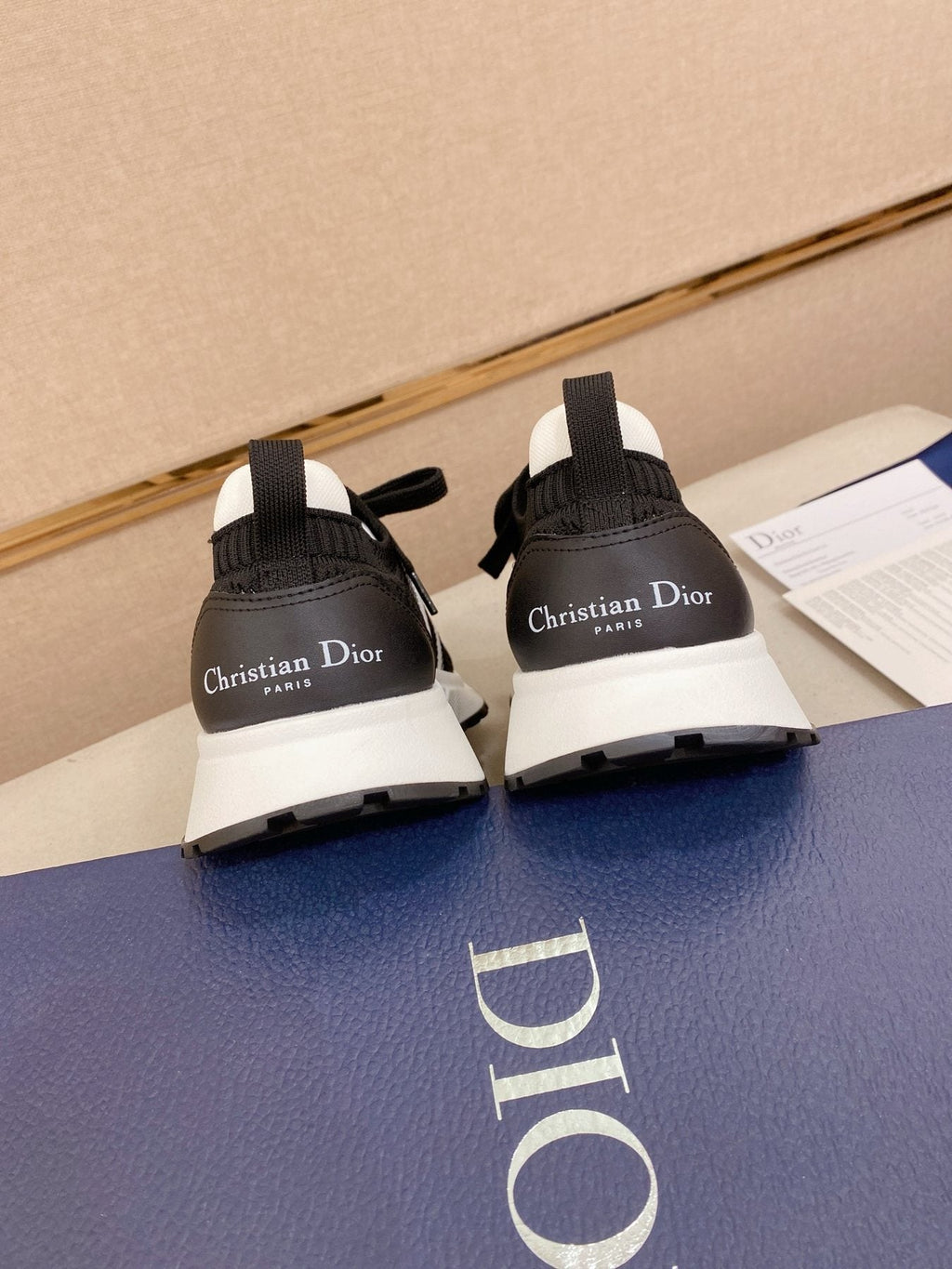Dior B30 Mesh Sneakers